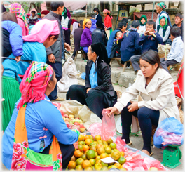 Viet women selling oranges.