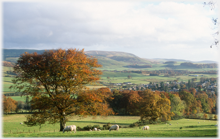 Moffat and Craigfell from Gallowhill.