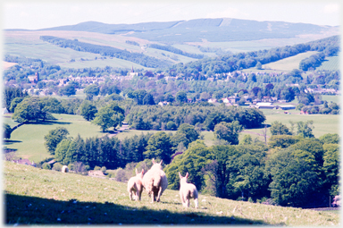 Moffat from the south-east.