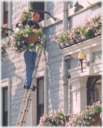 Watering hanging baskets.