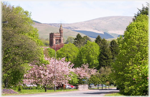 Cherry blossom and church.