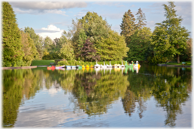 Parked swan pedalos.