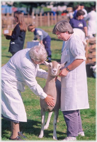 Women and goat.