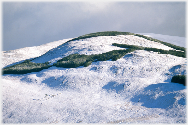 Crofhead Hill in snow.