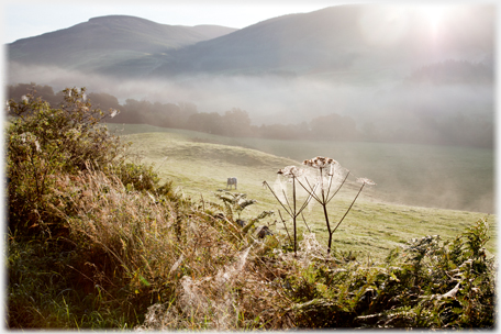 Fields by Craigieburn.