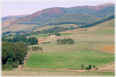 Craigbeck Cottage and Crofthead Hill.