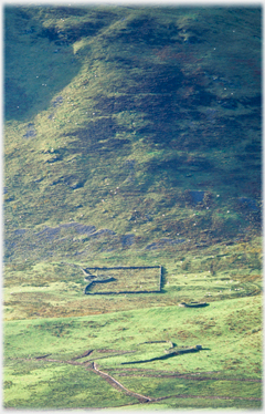 Sheepfold under Peat Hill.