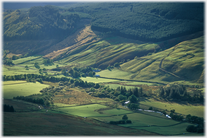 Roundstonefoot from Bodesbeck Law