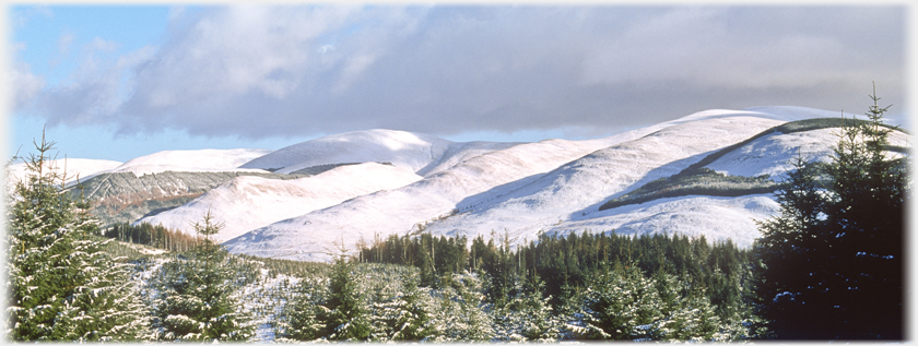 The Crofhead range of hills.