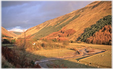 Polmoody at the height of Autumn.