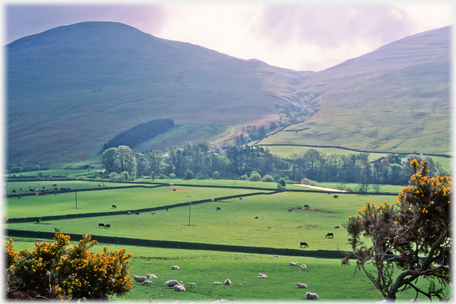 Bodesbeck Law and Farm.