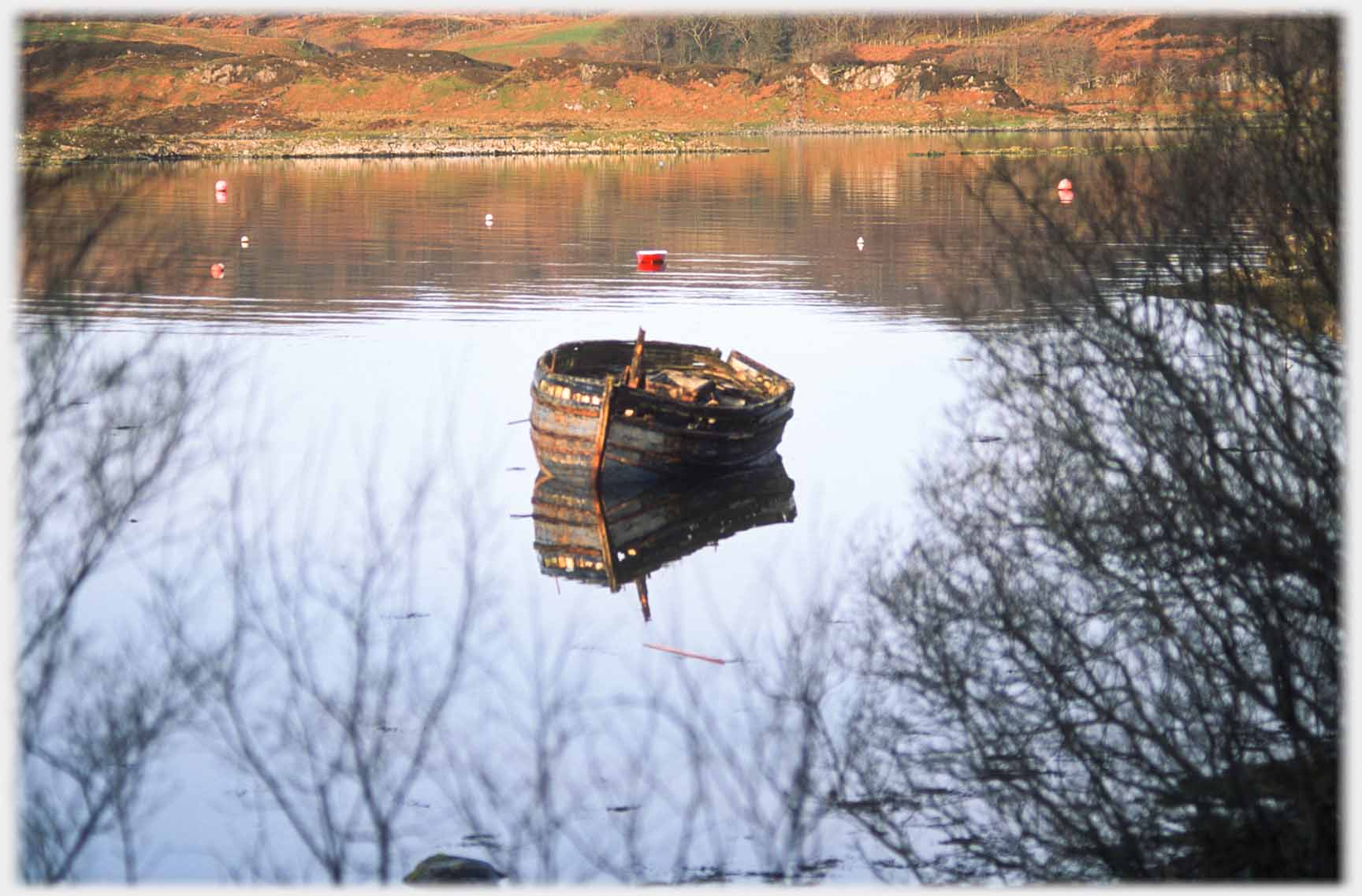 Single boat with fringe of tree branches.