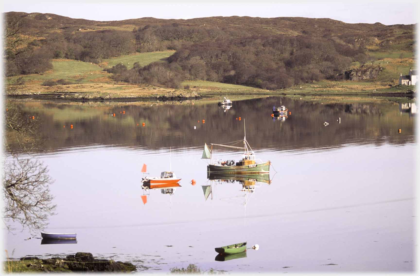 Several boats and dighies on placid water.