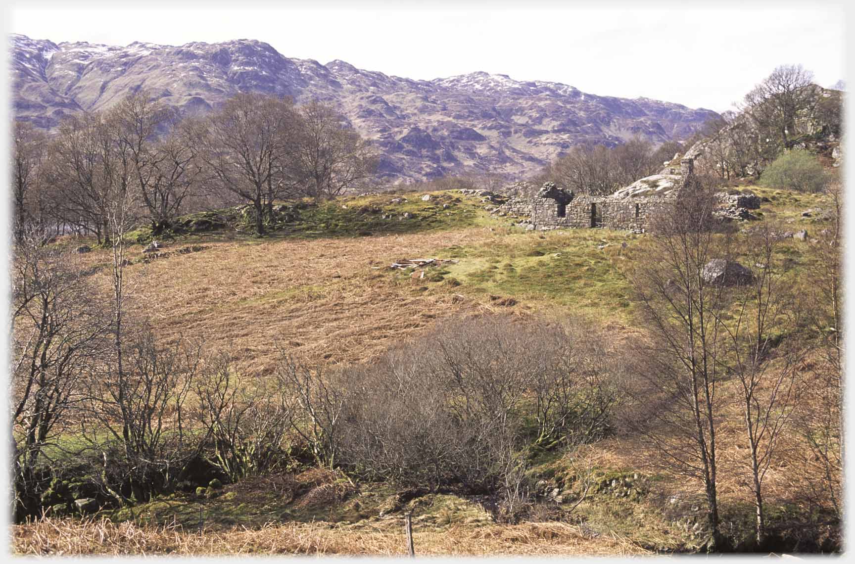 Ruined cottage on hillside.