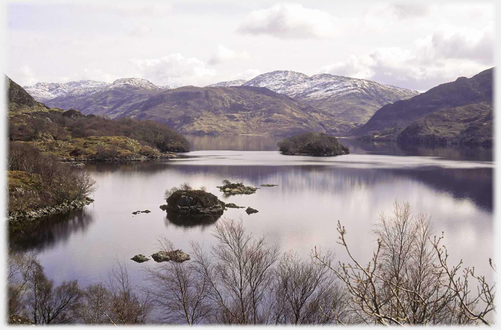 Trees by anad islets in loch.