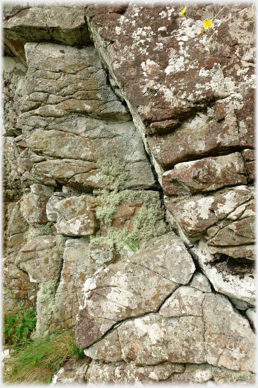 Fissures in rocks.