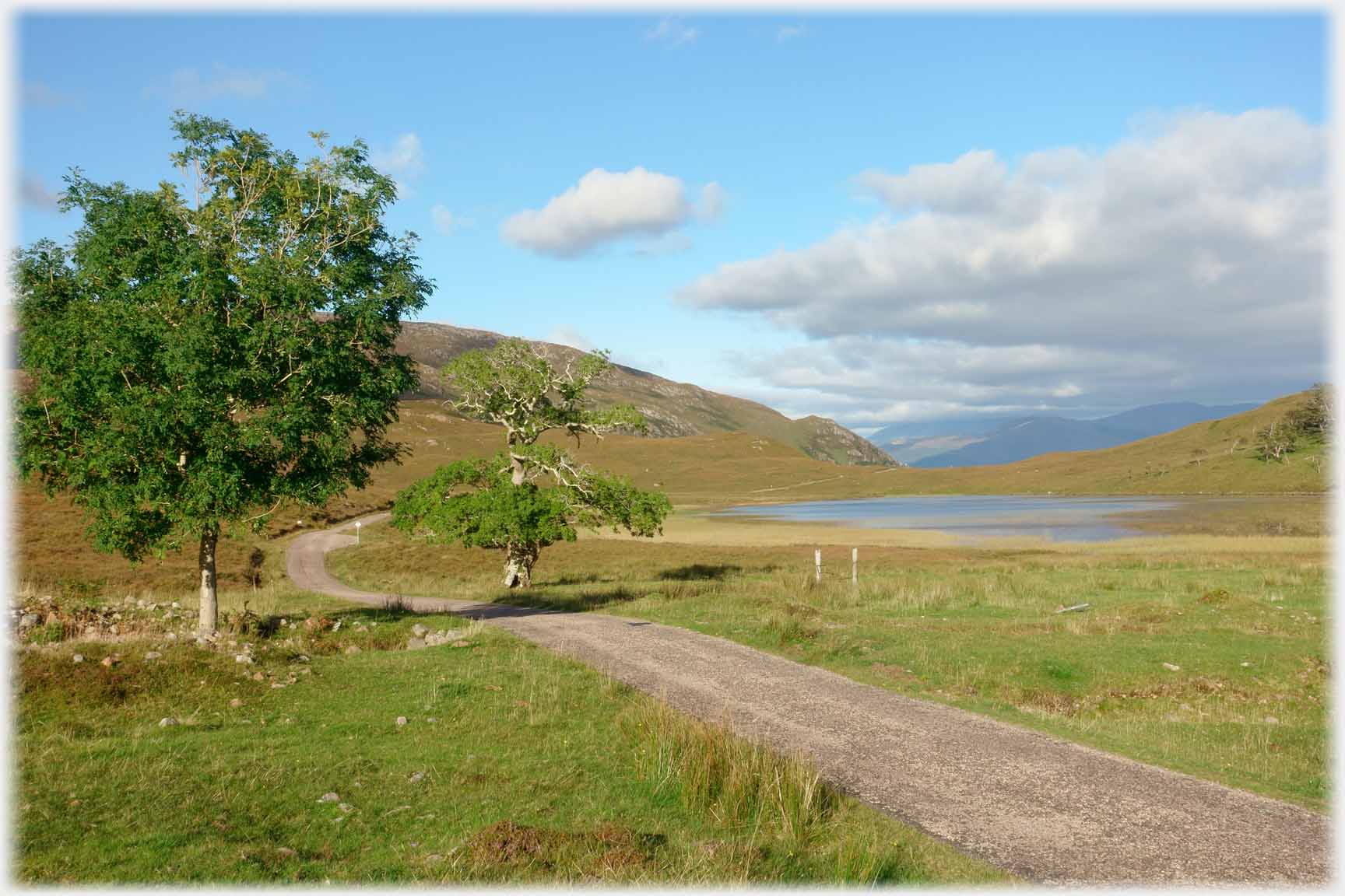 Small open road curving between two trees towards loch.