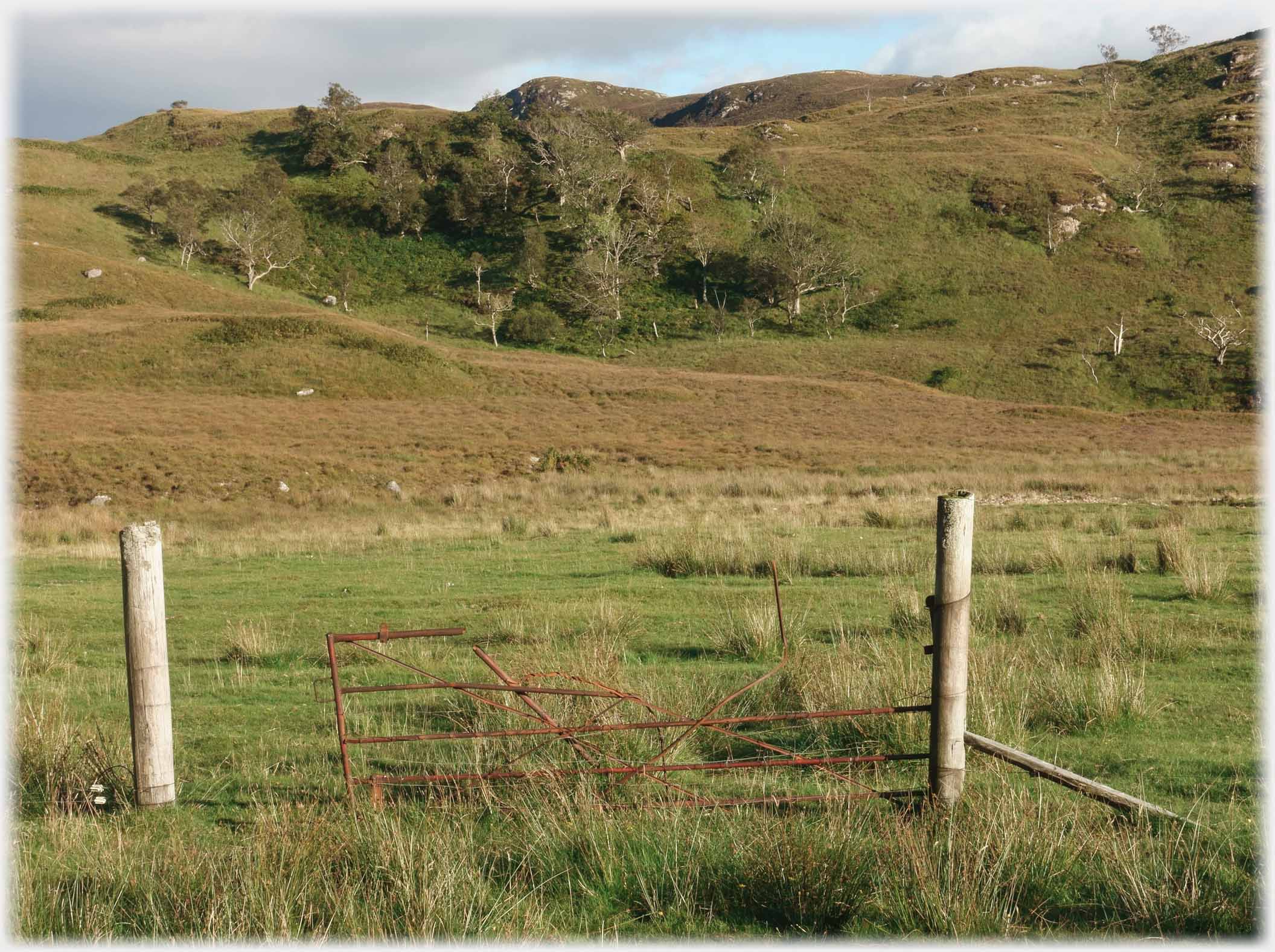 Distorted rusted gate not attached to its posts which have no fence.