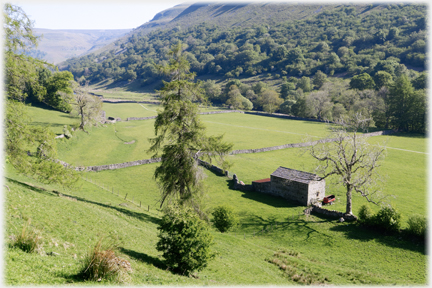 Barn, leafless tree and valley.