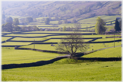 Pattern of dykes and fields.