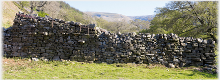 First of three shots of a wall withe the sun across it.