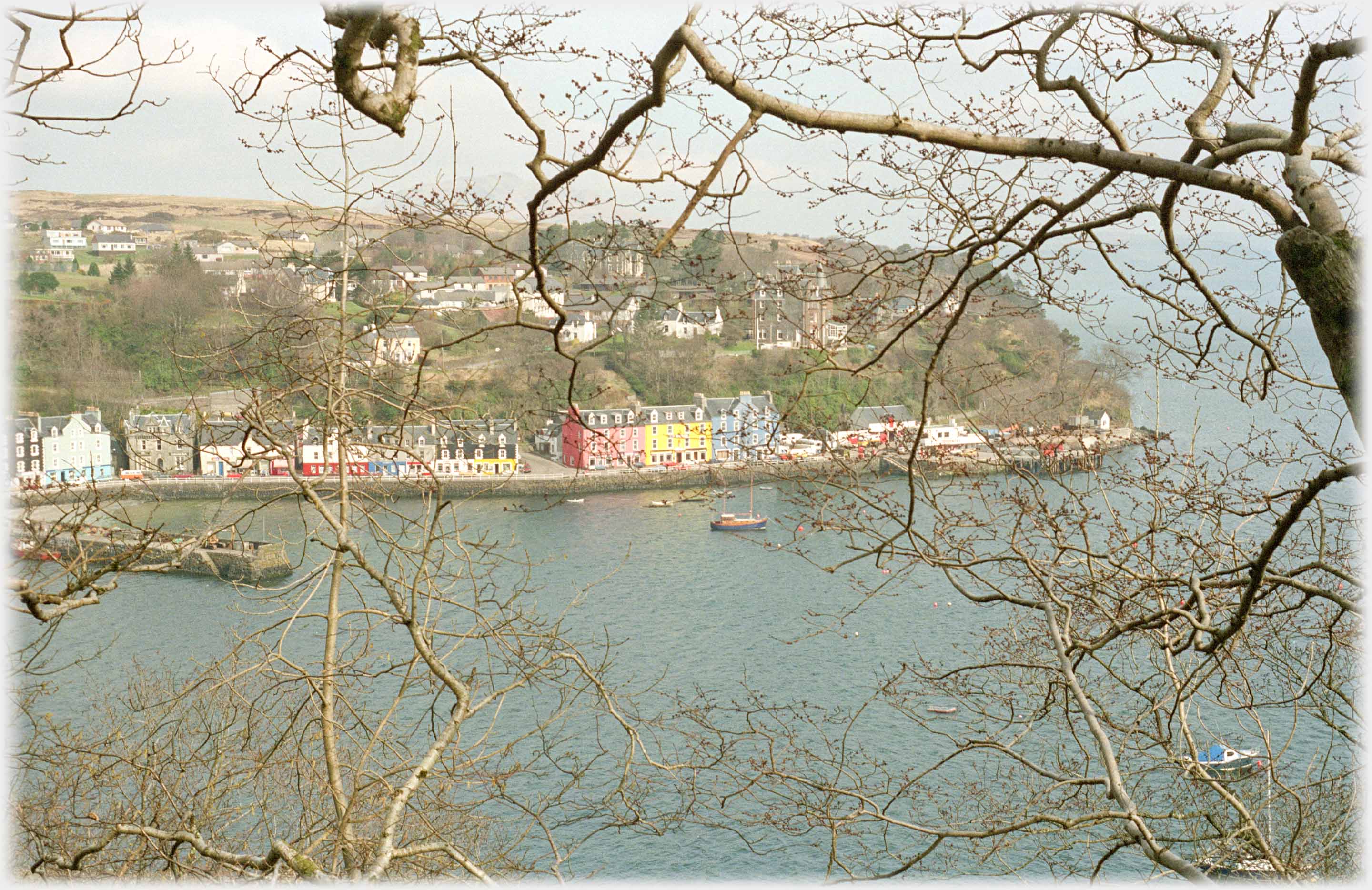 Looking across bay through branches at waterfront with houses up hill behind.