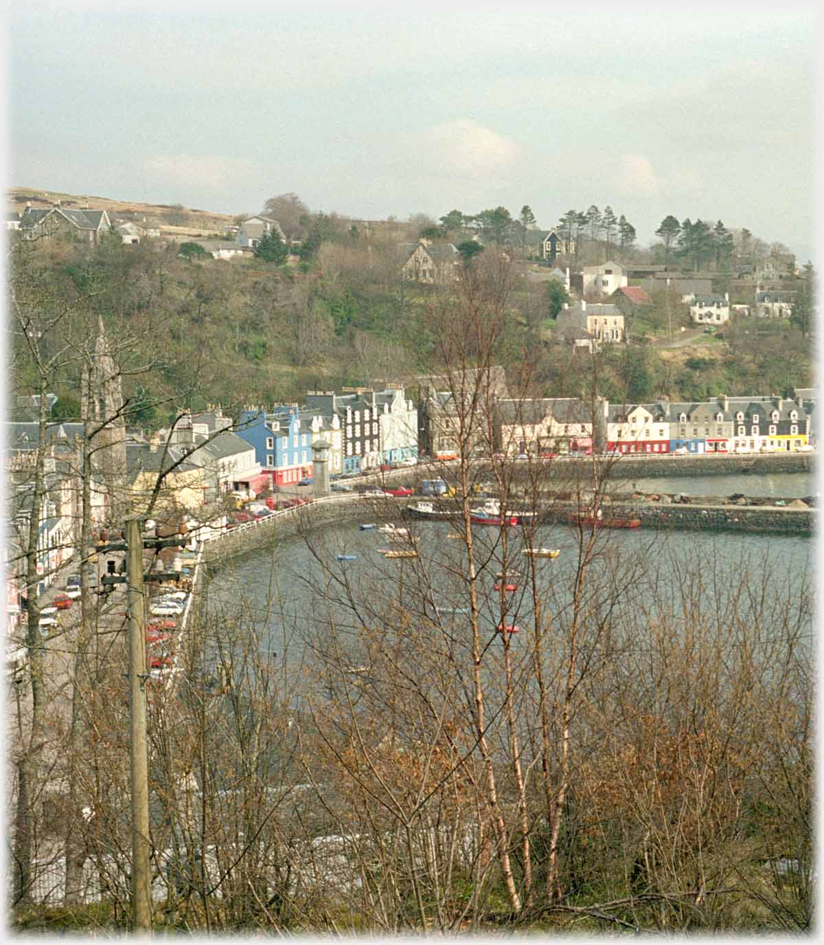 View of harbourside through trees.