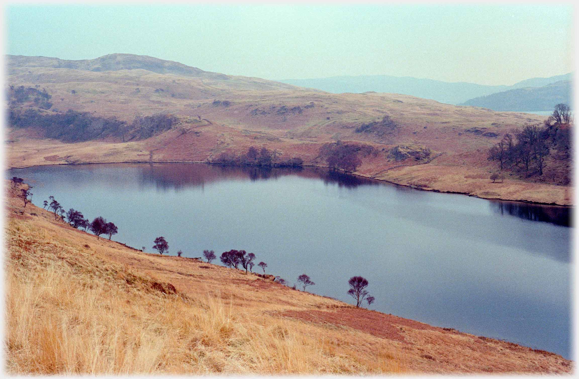 Dead flat loch with isolated trees around it.