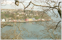 Row of colourful houses seen through a tree.