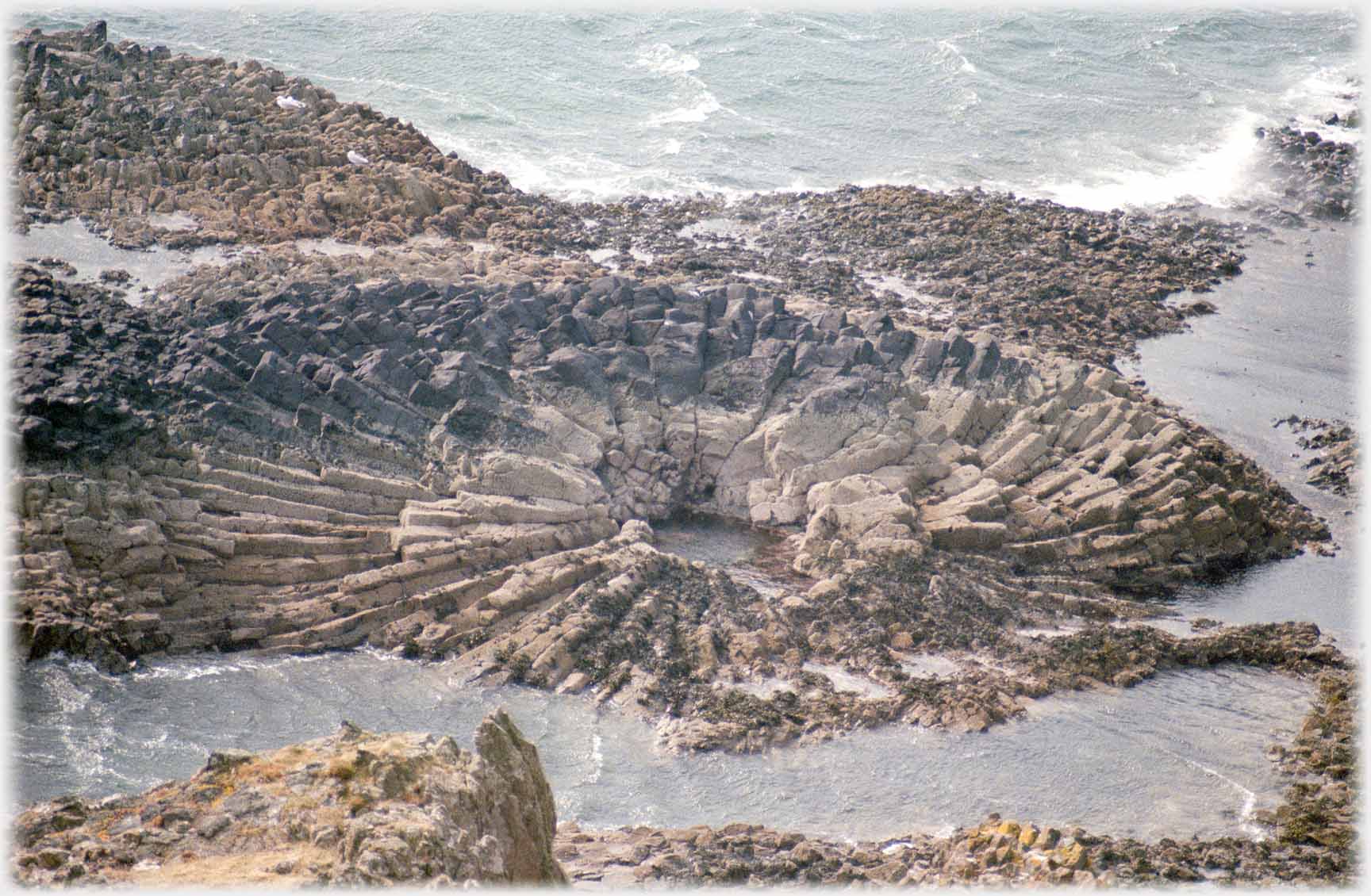 Another swirl of flattened basalt columns.