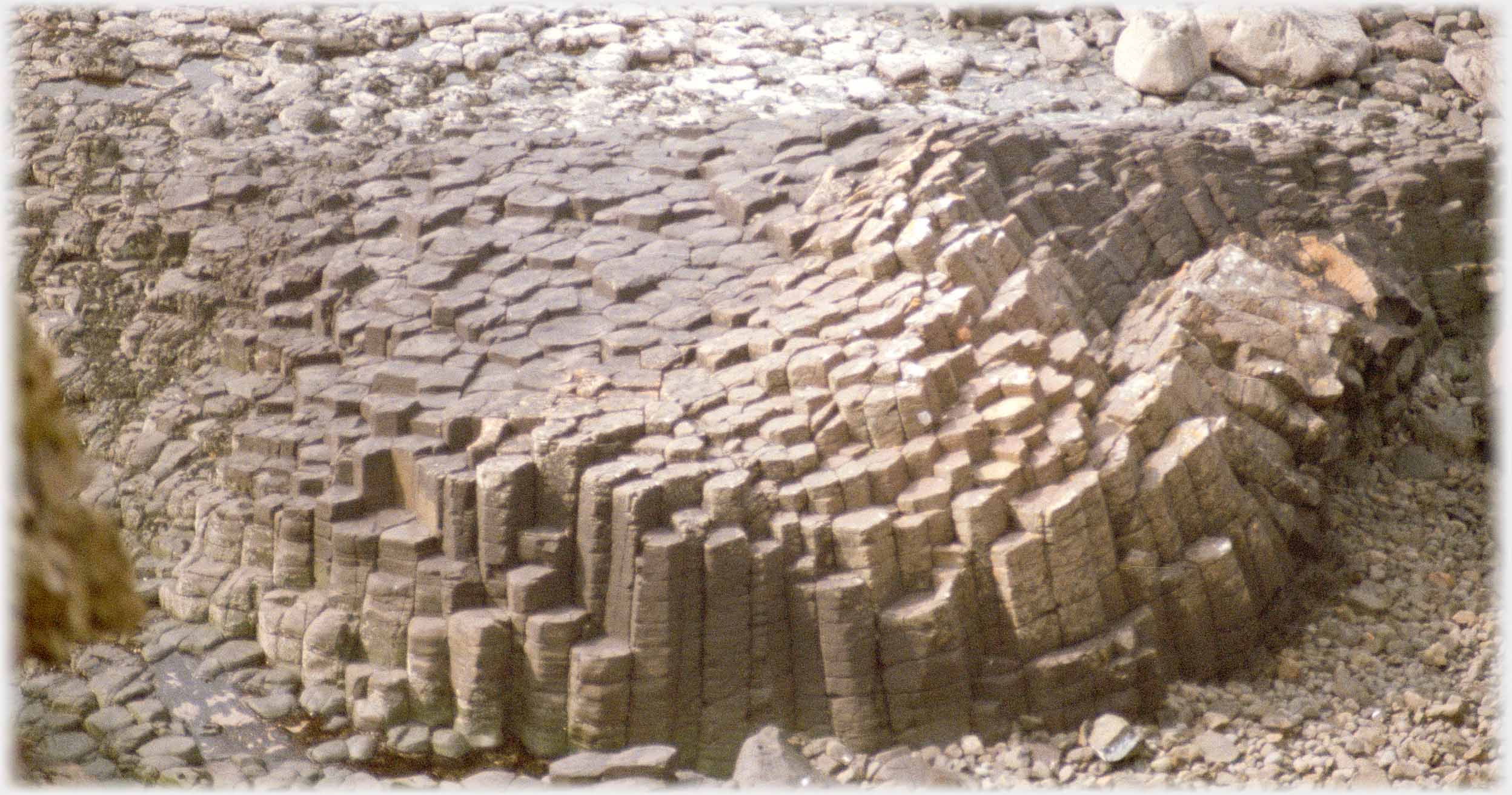 A packed area of vertical basalt columns.