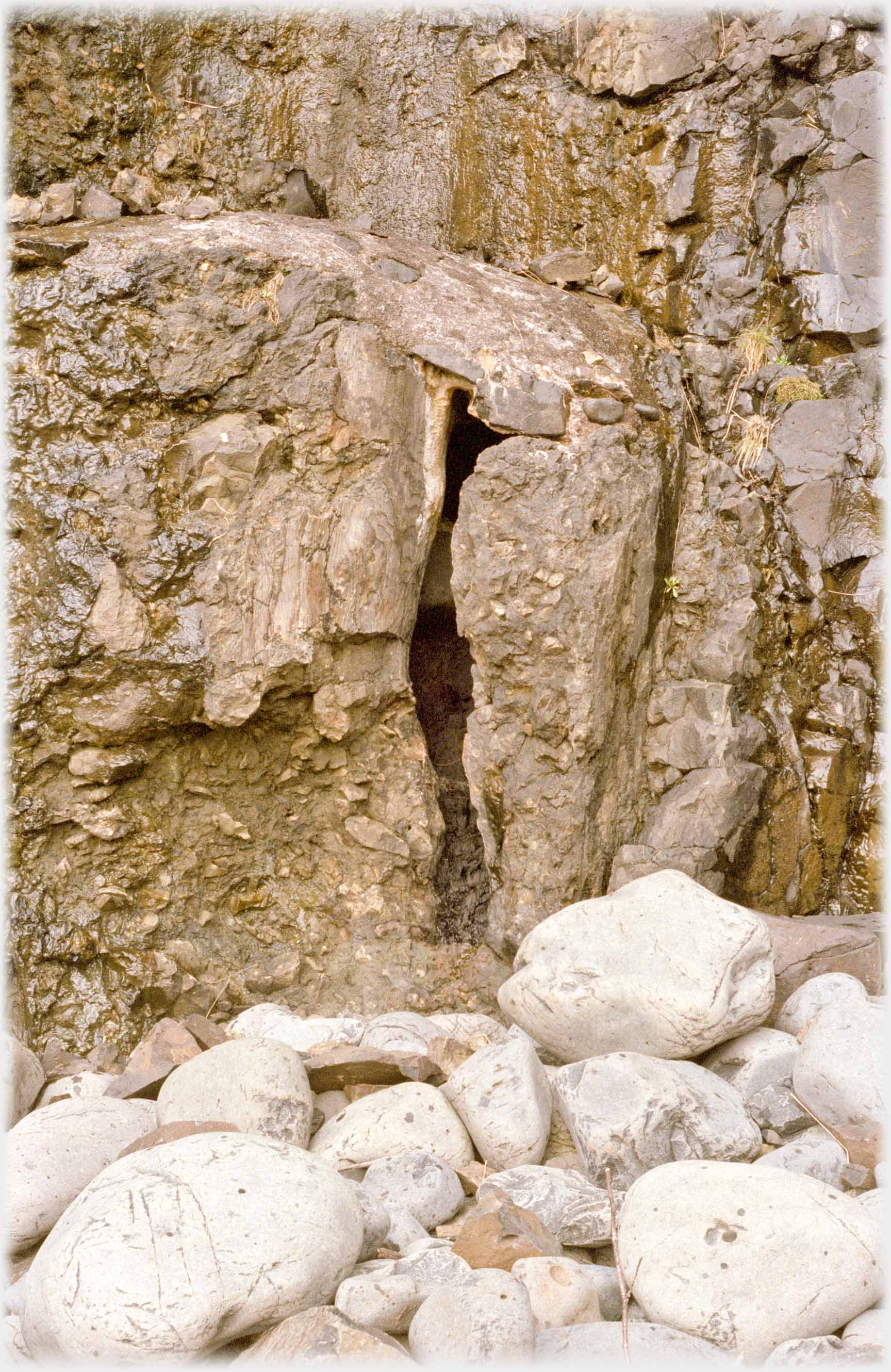 Capped cleft with burnt wood of MacCulloch's tree.