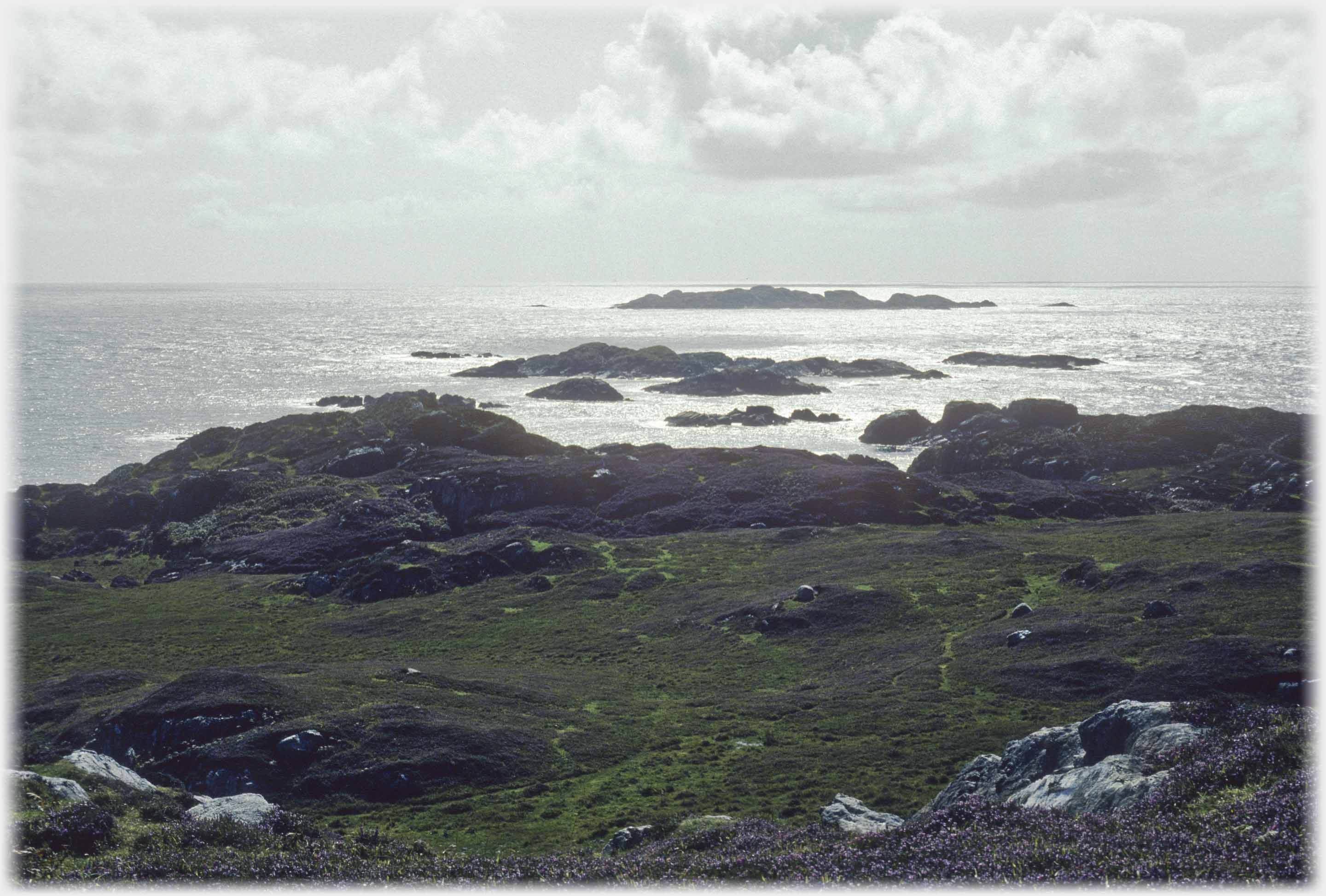 Rocky islets in shining sea.