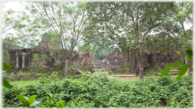 Temples in the undergrowth