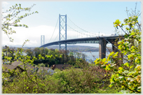 Forth Road Bridge.