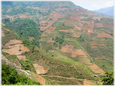 Hillside with houses and terraces.