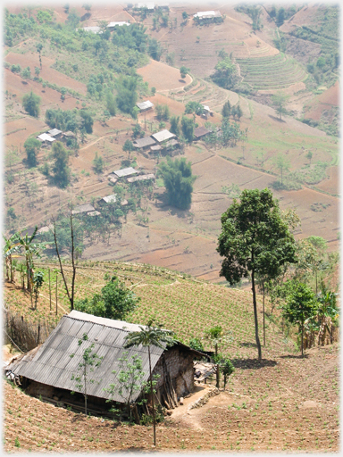 House with tree.