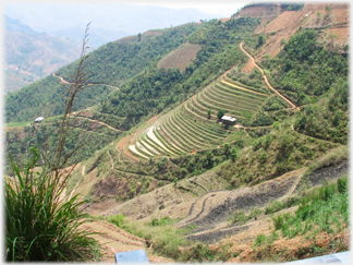 House on terraces with paths.