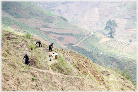Farmers on teraced hillside.