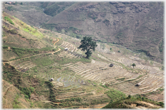 Gentler sloping terraces.