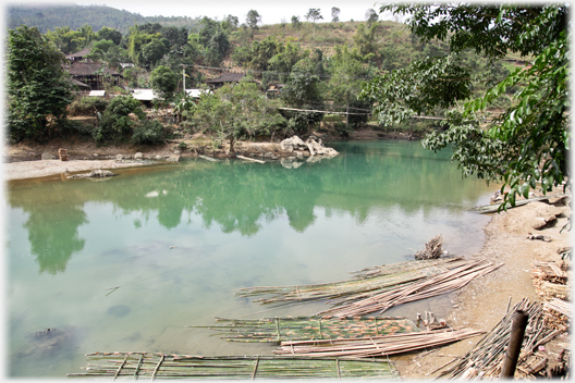 River with bamboos .