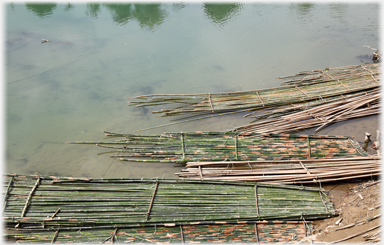 Bamboos bound into rafts.