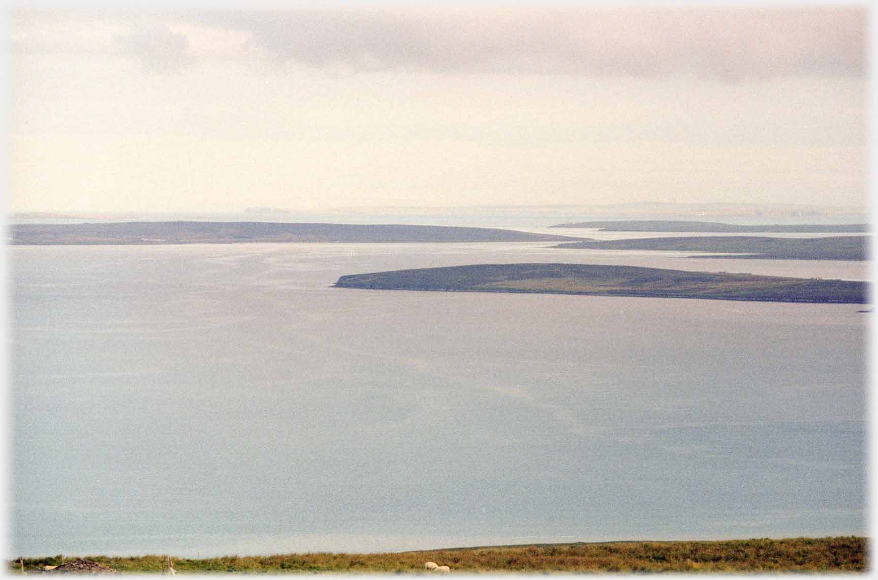 Islets and arms of land interlocking in the sea.