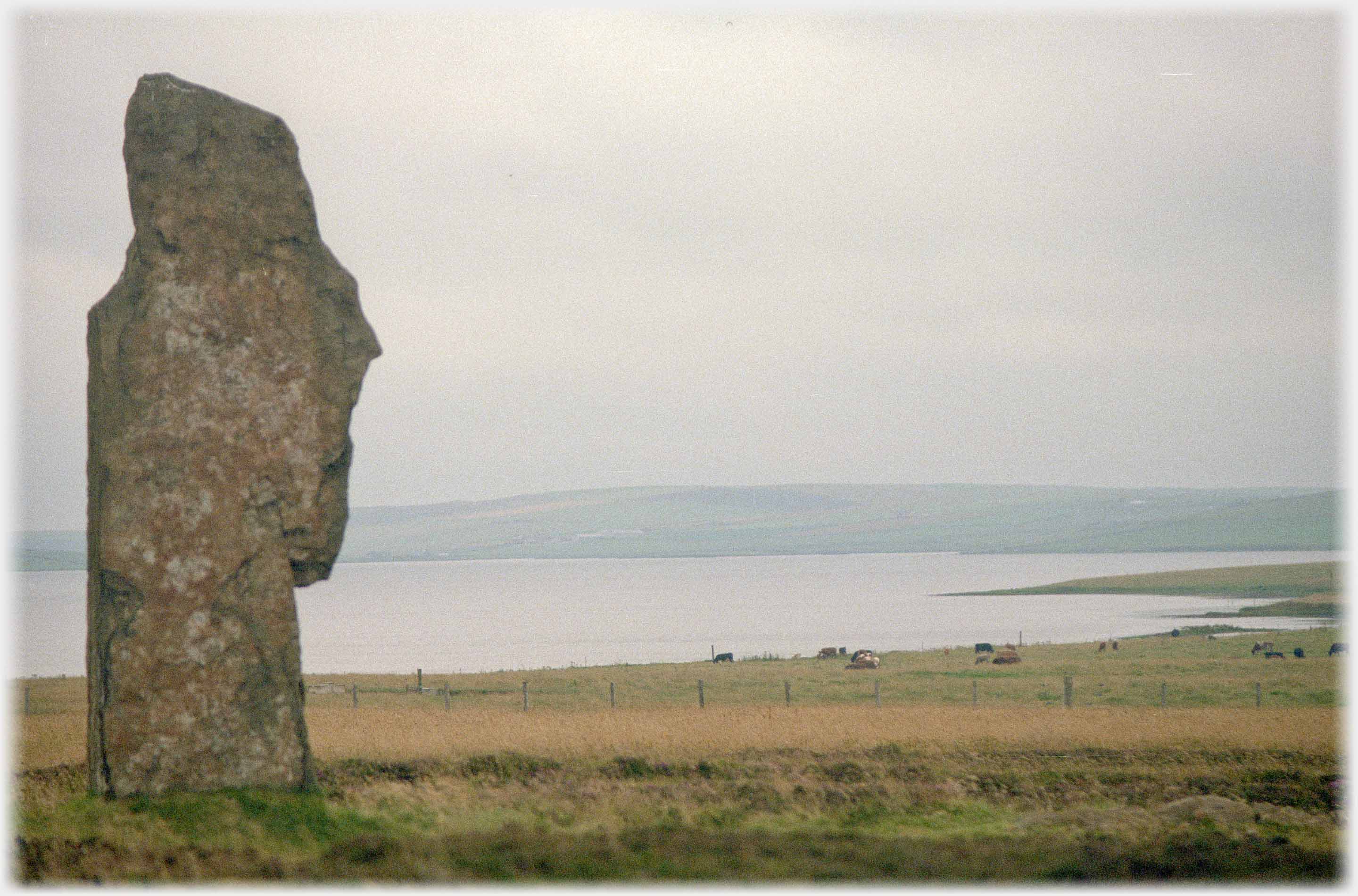 Single standing stone with complex outline.