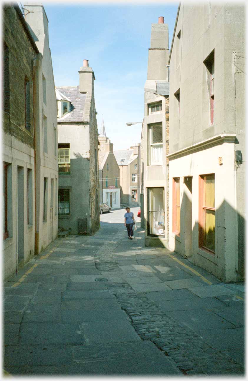 Narrow paving stoned road with no vehicles.