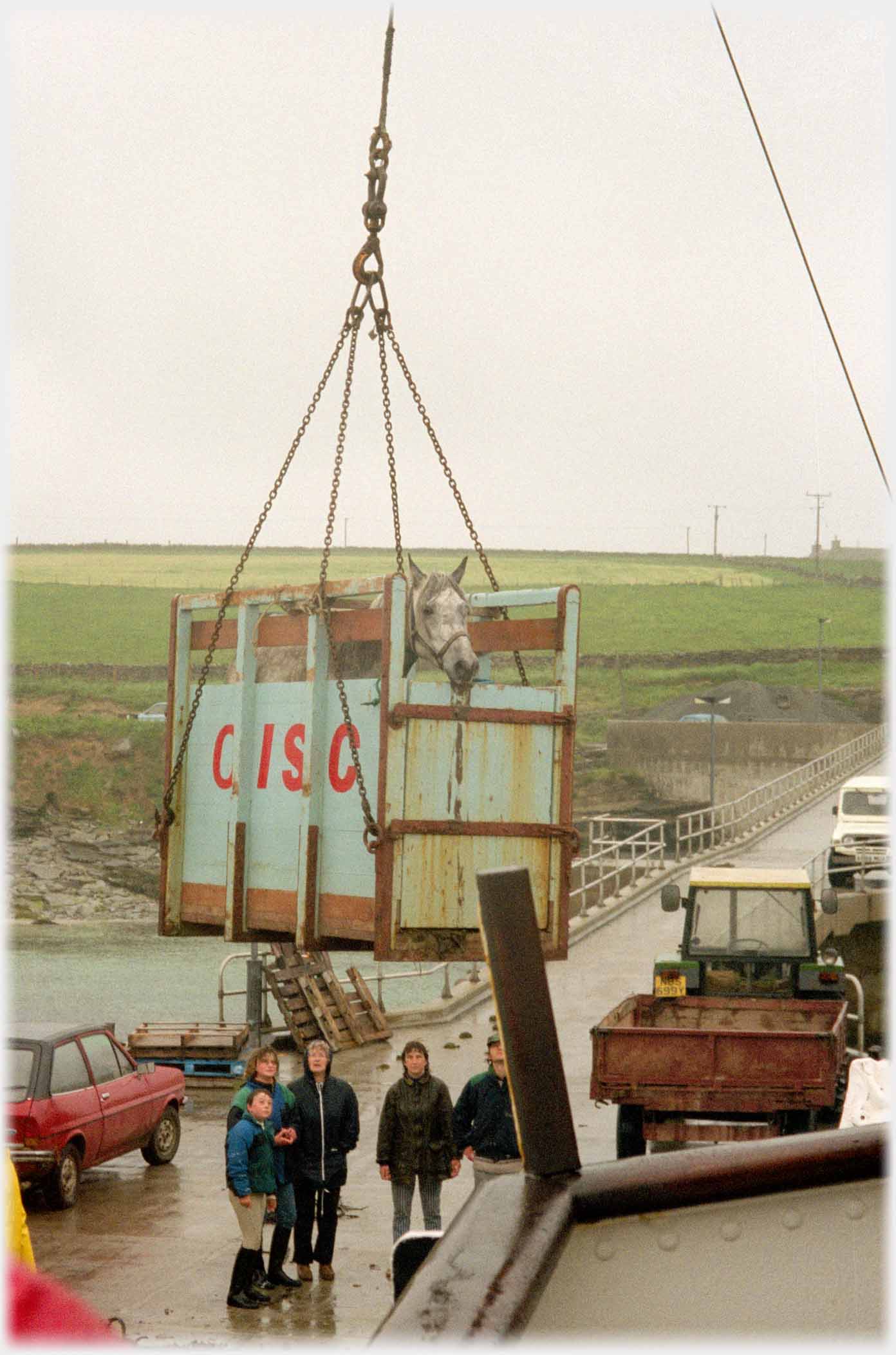 Horse in an open topped box being lowered onto pier.