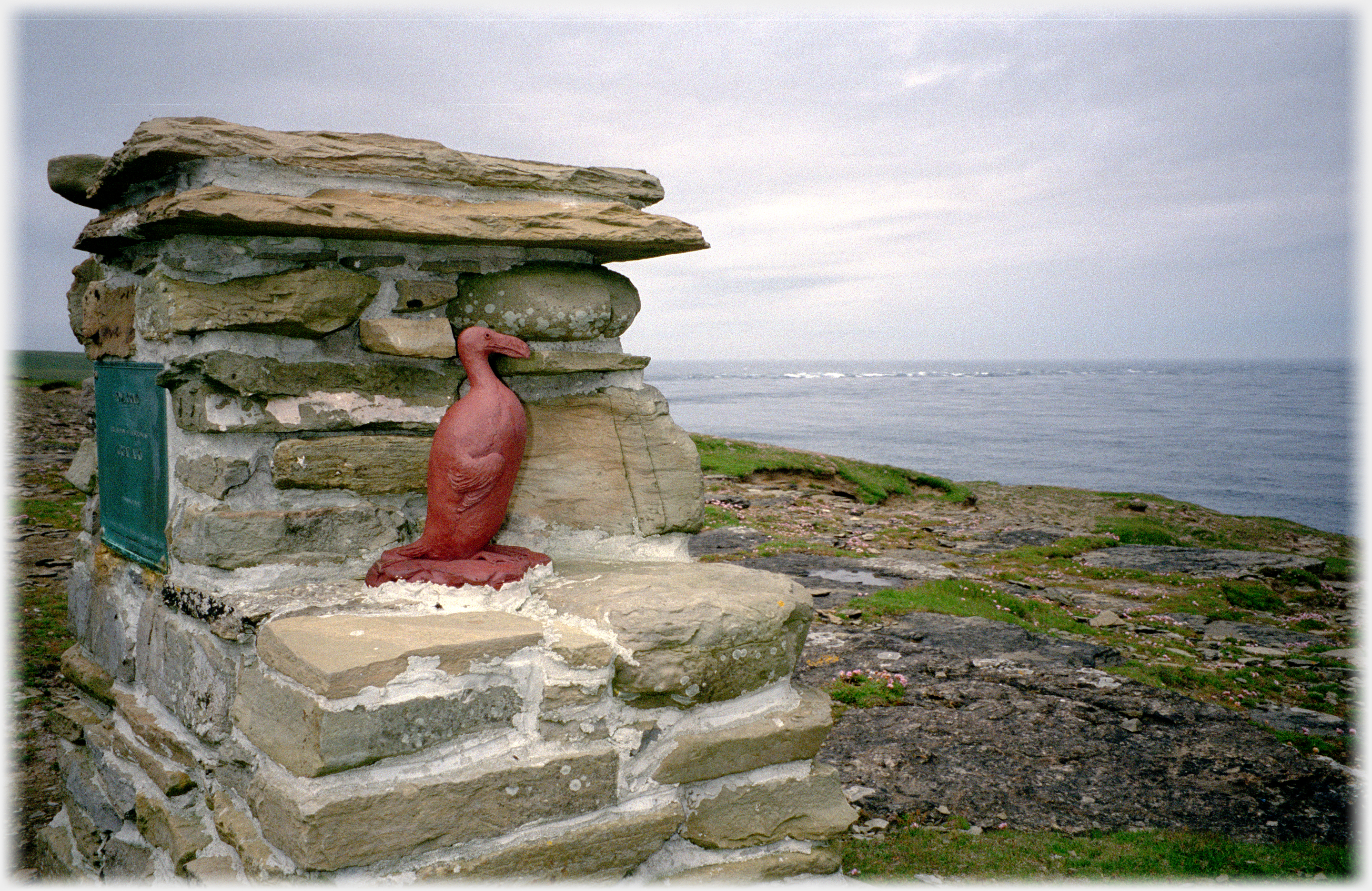 Clay model of great auk set in stone display.