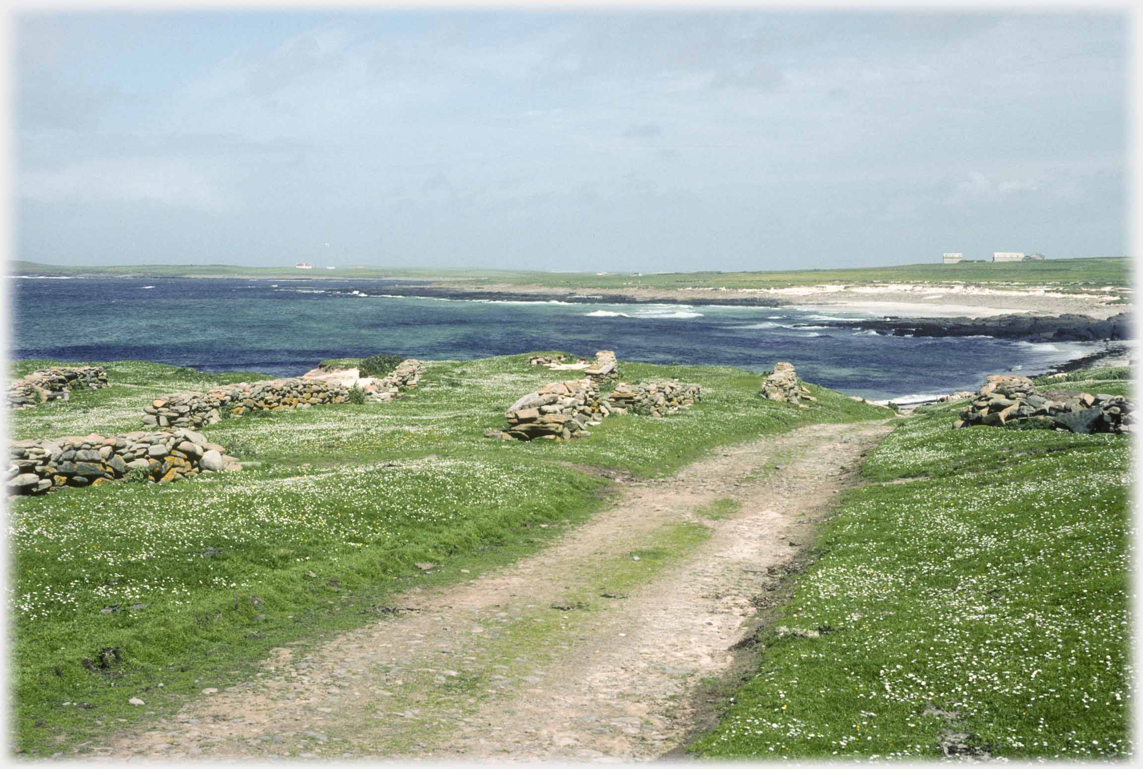 Track leading to sandy bay.