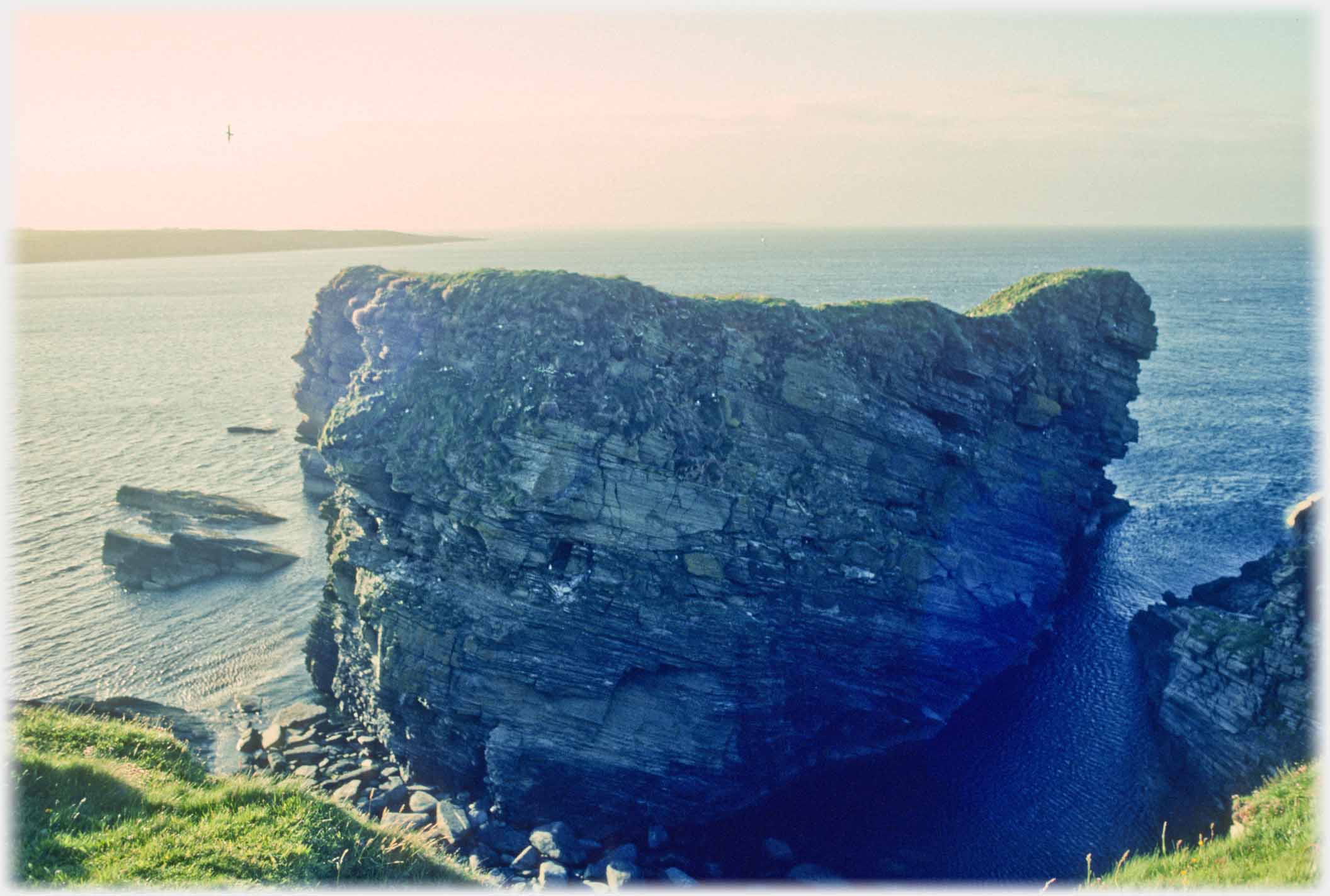 Sea stack again offering layers of nesting opportunities.