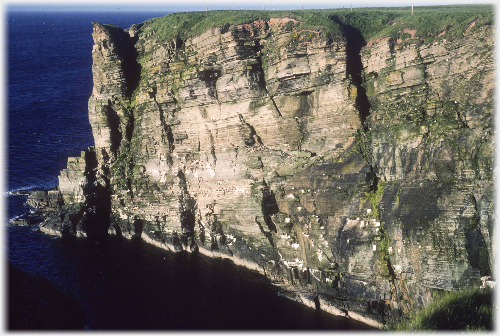 Cliff face with distinct worn layers offering nesting sites.